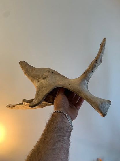 Sculpture en bois flotté de Loire - 65 cm de hauteur × 44 × 17 / ± 1,2 kg - Création Zen Curiosity