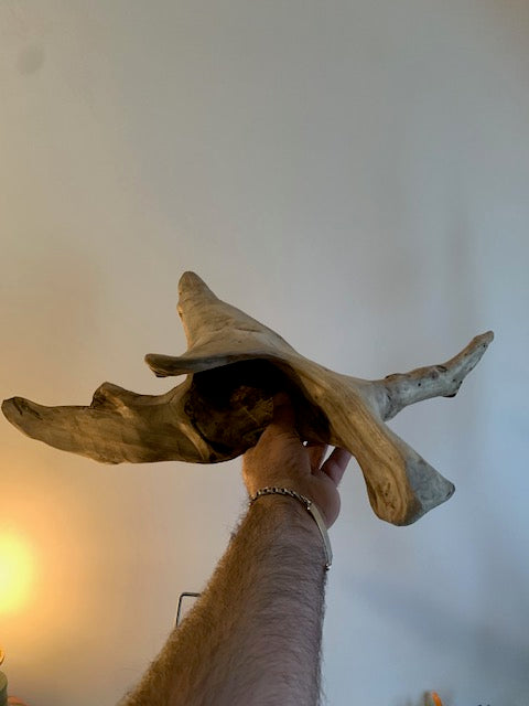 Sculpture en bois flotté de Loire - 65 cm de hauteur × 44 × 17 / ± 1,2 kg - Création Zen Curiosity