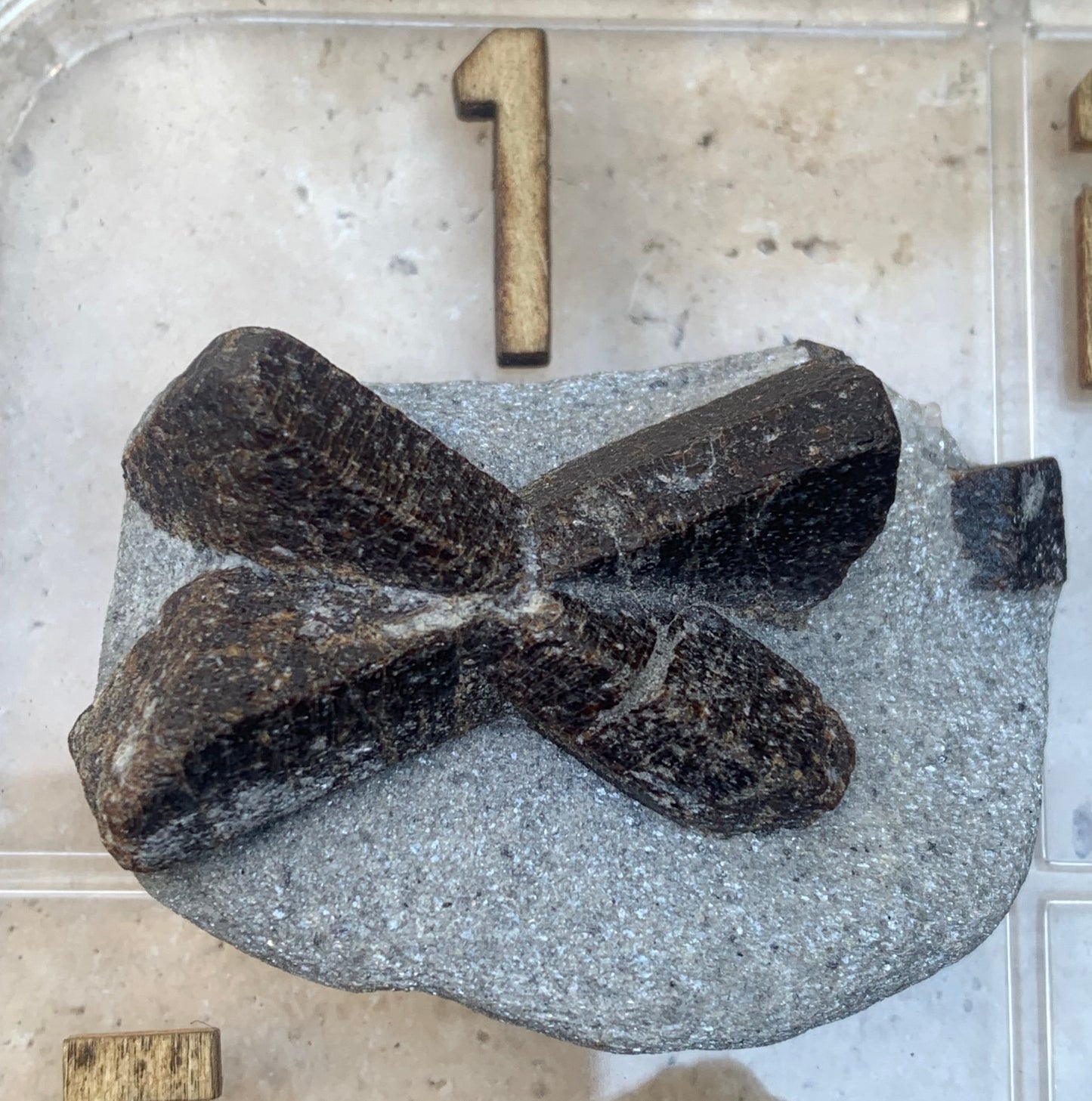 Staurotide/ staurolite, pièces au choix, magnifiques spècimens avec une croix naturelle. Provenance de Russie ou France !