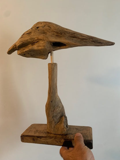 Sculpture en bois flotté de Loire 'Tête d'Oiseau' - 40 cm de hauteur × 35 × 10 / ± 1 kg - Création Zen Curiosity