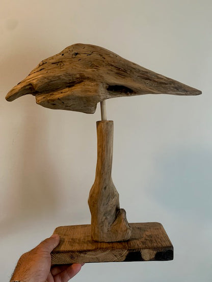 Sculpture en bois flotté de Loire 'Tête d'Oiseau' - 40 cm de hauteur × 35 × 10 / ± 1 kg - Création Zen Curiosity