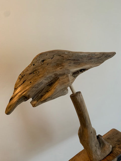 Sculpture en bois flotté de Loire 'Tête d'Oiseau' - 40 cm de hauteur × 35 × 10 / ± 1 kg - Création Zen Curiosity