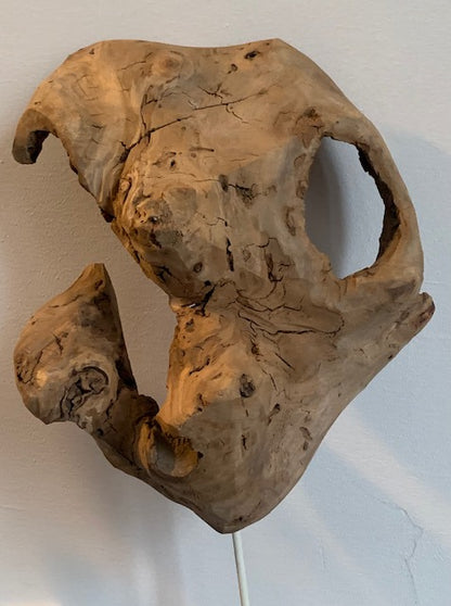 Sculpture en bois flotté de Loire 'Vies âge' - 45 cm de hauteur × 20 × 10 / ± 800 gr. - Création Zen Curiosity