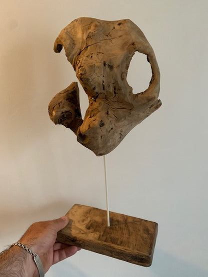 Sculpture en bois flotté de Loire 'Vies âge' - 45 cm de hauteur × 20 × 10 / ± 800 gr. - Création Zen Curiosity