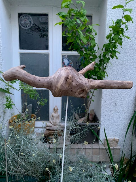 Driftwood sculpture from the Loire: 'Baby Dragon' - 54 cm height × 40 × 10 / ± 950 gr. - Zen Curiosity Creation