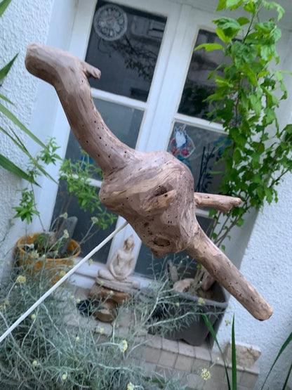 Driftwood sculpture from the Loire: 'Baby Dragon' - 54 cm height × 40 × 10 / ± 950 gr. - Zen Curiosity Creation