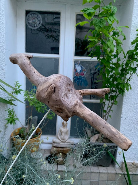 Driftwood sculpture from the Loire: 'Baby Dragon' - 54 cm height × 40 × 10 / ± 950 gr. - Zen Curiosity Creation