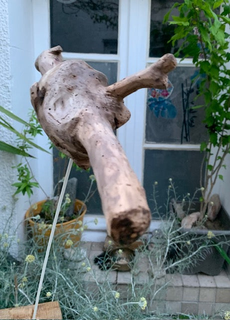 Driftwood sculpture from the Loire: 'Baby Dragon' - 54 cm height × 40 × 10 / ± 950 gr. - Zen Curiosity Creation