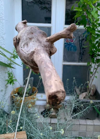 Driftwood sculpture from the Loire: 'Baby Dragon' - 54 cm height × 40 × 10 / ± 950 gr. - Zen Curiosity Creation