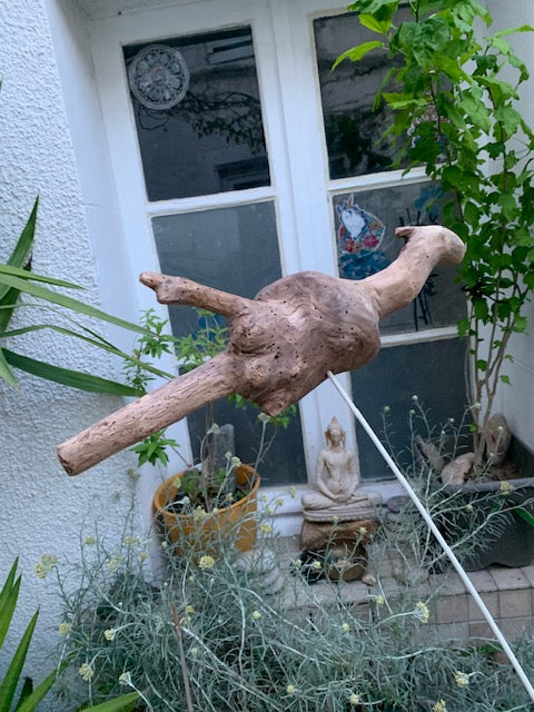 Driftwood sculpture from the Loire: 'Baby Dragon' - 54 cm height × 40 × 10 / ± 950 gr. - Zen Curiosity Creation