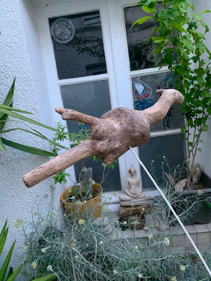 Driftwood sculpture from the Loire: 'Baby Dragon' - 54 cm height × 40 × 10 / ± 950 gr. - Zen Curiosity Creation