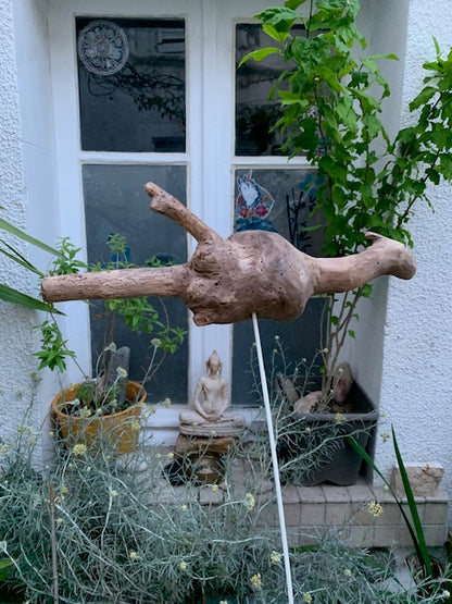 Driftwood sculpture from the Loire: 'Baby Dragon' - 54 cm height × 40 × 10 / ± 950 gr. - Zen Curiosity Creation