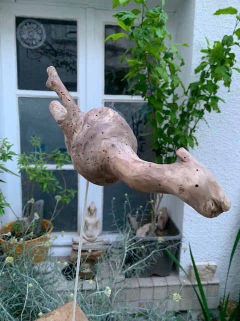 Driftwood sculpture from the Loire: 'Baby Dragon' - 54 cm height × 40 × 10 / ± 950 gr. - Zen Curiosity Creation