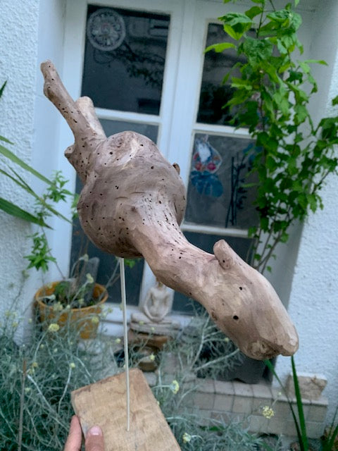 Driftwood sculpture from the Loire: 'Baby Dragon' - 54 cm height × 40 × 10 / ± 950 gr. - Zen Curiosity Creation