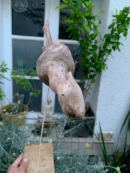 Driftwood sculpture from the Loire: 'Baby Dragon' - 54 cm height × 40 × 10 / ± 950 gr. - Zen Curiosity Creation