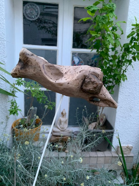 Driftwood sculpture from the Loire: 'Ostrich Head' - 25 cm height × 24 × 10 / ± 850 gr. - Creation Zen Curiosity