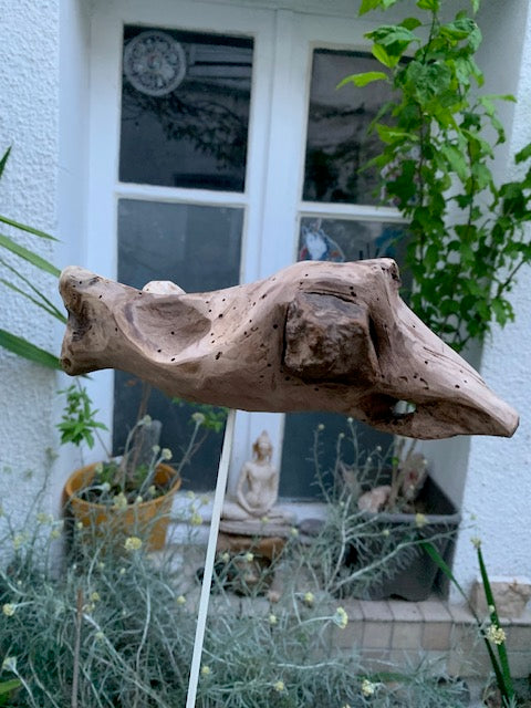 Sculpture en bois flotté de Loire : 'tête d'Autruche' - 25 cm de hauteur × 24 × 10 / ± 850 gr. - Création Zen Curiosity