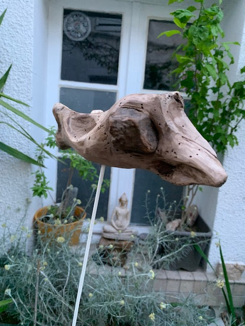 Driftwood sculpture from the Loire: 'Ostrich Head' - 25 cm height × 24 × 10 / ± 850 gr. - Creation Zen Curiosity