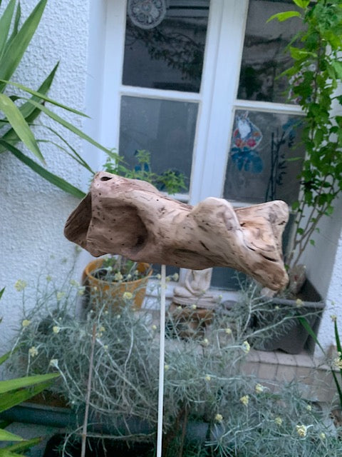 Driftwood sculpture from the Loire: 'Ostrich Head' - 25 cm height × 24 × 10 / ± 850 gr. - Creation Zen Curiosity
