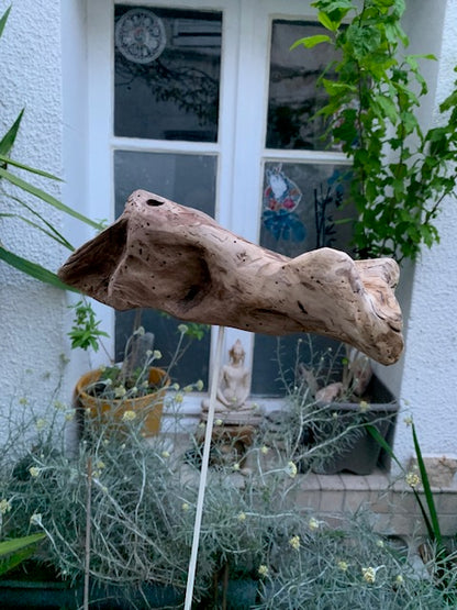 Driftwood sculpture from the Loire: 'Ostrich Head' - 25 cm height × 24 × 10 / ± 850 gr. - Creation Zen Curiosity