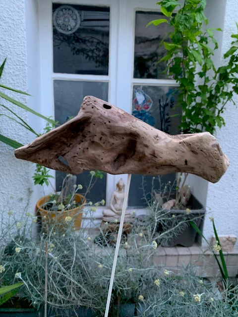 Driftwood sculpture from the Loire: 'Ostrich Head' - 25 cm height × 24 × 10 / ± 850 gr. - Creation Zen Curiosity