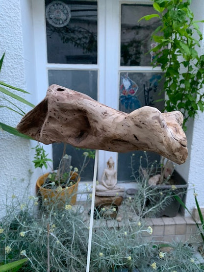 Driftwood sculpture from the Loire: 'Ostrich Head' - 25 cm height × 24 × 10 / ± 850 gr. - Creation Zen Curiosity