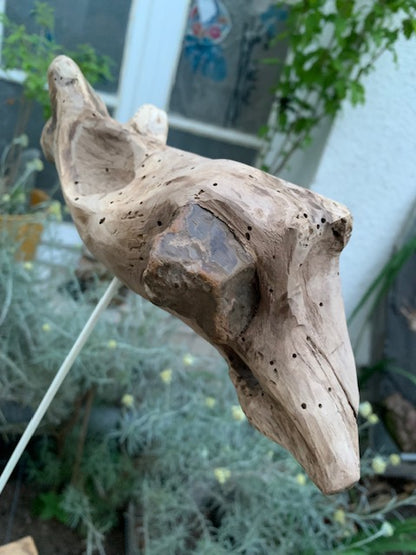 Driftwood sculpture from the Loire: 'Ostrich Head' - 25 cm height × 24 × 10 / ± 850 gr. - Creation Zen Curiosity