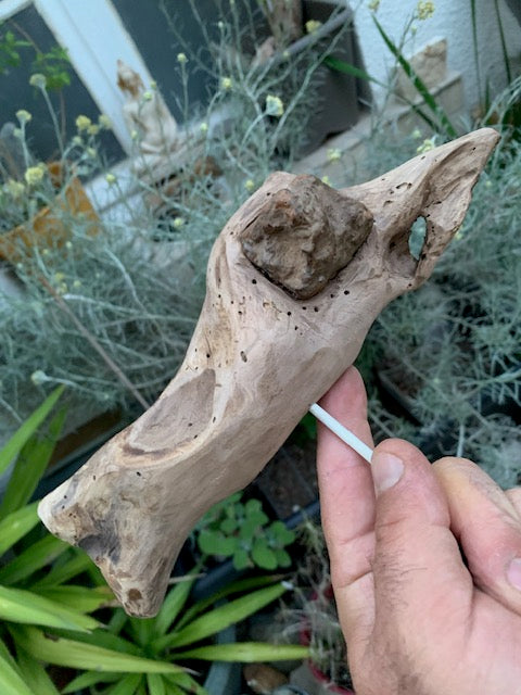 Driftwood sculpture from the Loire: 'Ostrich Head' - 25 cm height × 24 × 10 / ± 850 gr. - Creation Zen Curiosity