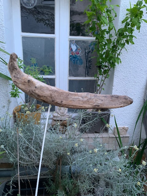 Driftwood sculpture from the Loire: 'Cool Work' - 41 cm height × 36 × 10 / ± 990 gr. - Creation Zen Curiosity