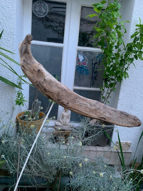 Driftwood sculpture from the Loire: 'Cool Work' - 41 cm height × 36 × 10 / ± 990 gr. - Creation Zen Curiosity
