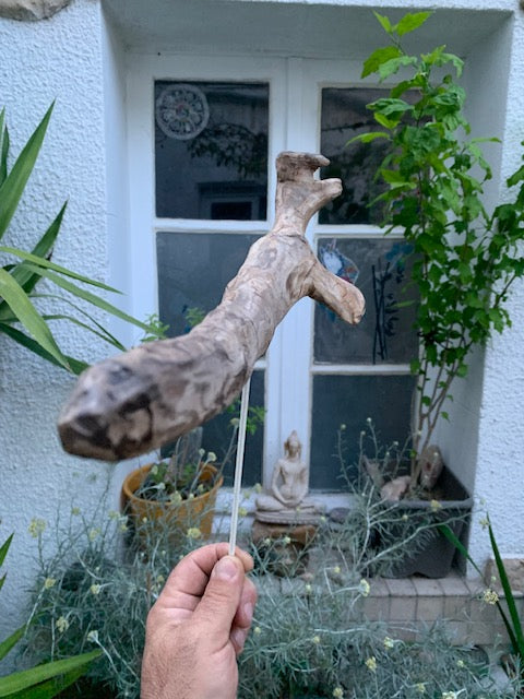 Driftwood sculpture from the Loire: 'Cool Work' - 41 cm height × 36 × 10 / ± 990 gr. - Creation Zen Curiosity