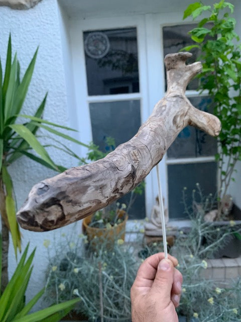 Driftwood sculpture from the Loire: 'Cool Work' - 41 cm height × 36 × 10 / ± 990 gr. - Creation Zen Curiosity