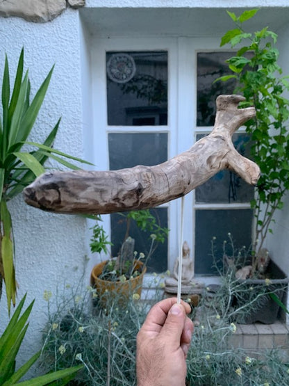 Driftwood sculpture from the Loire: 'Cool Work' - 41 cm height × 36 × 10 / ± 990 gr. - Creation Zen Curiosity