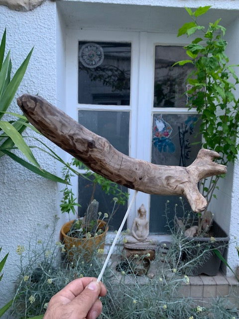 Driftwood sculpture from the Loire: 'Cool Work' - 41 cm height × 36 × 10 / ± 990 gr. - Creation Zen Curiosity