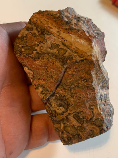 Jaspe Léopard - Spécimen brut de 172,5 grammes - de 90x55x35mm. Très beau morceau !