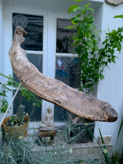 Driftwood sculpture from the Loire: 'Cool Work' - 41 cm height × 36 × 10 / ± 990 gr. - Creation Zen Curiosity
