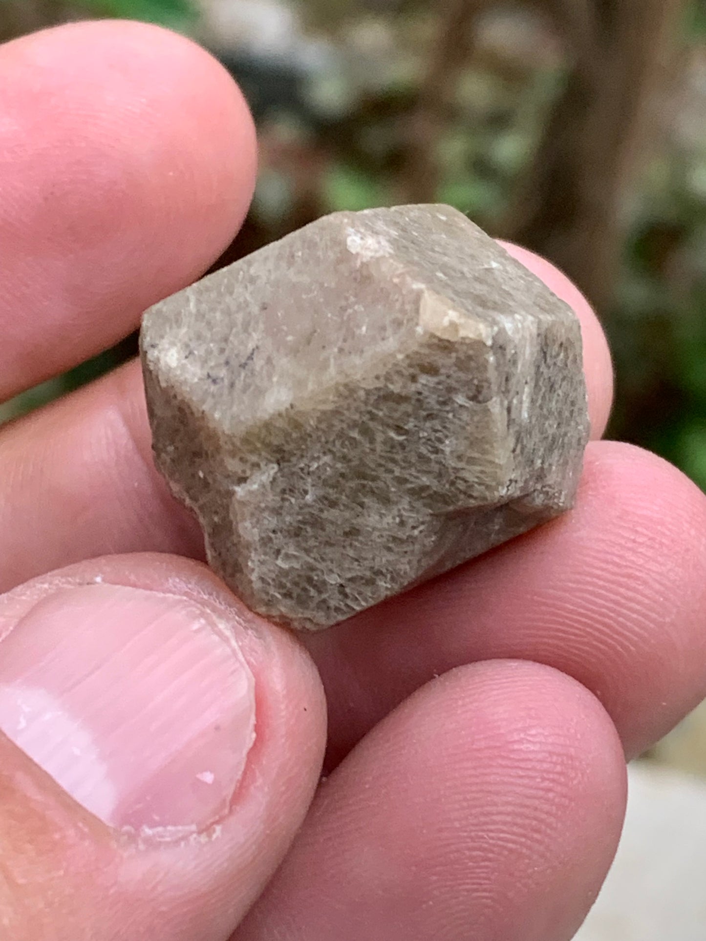 Grenat grossulaire vert – Cristal naturel d’environ ± 26 mm × 21 × 20 mm - 21,2 gr.