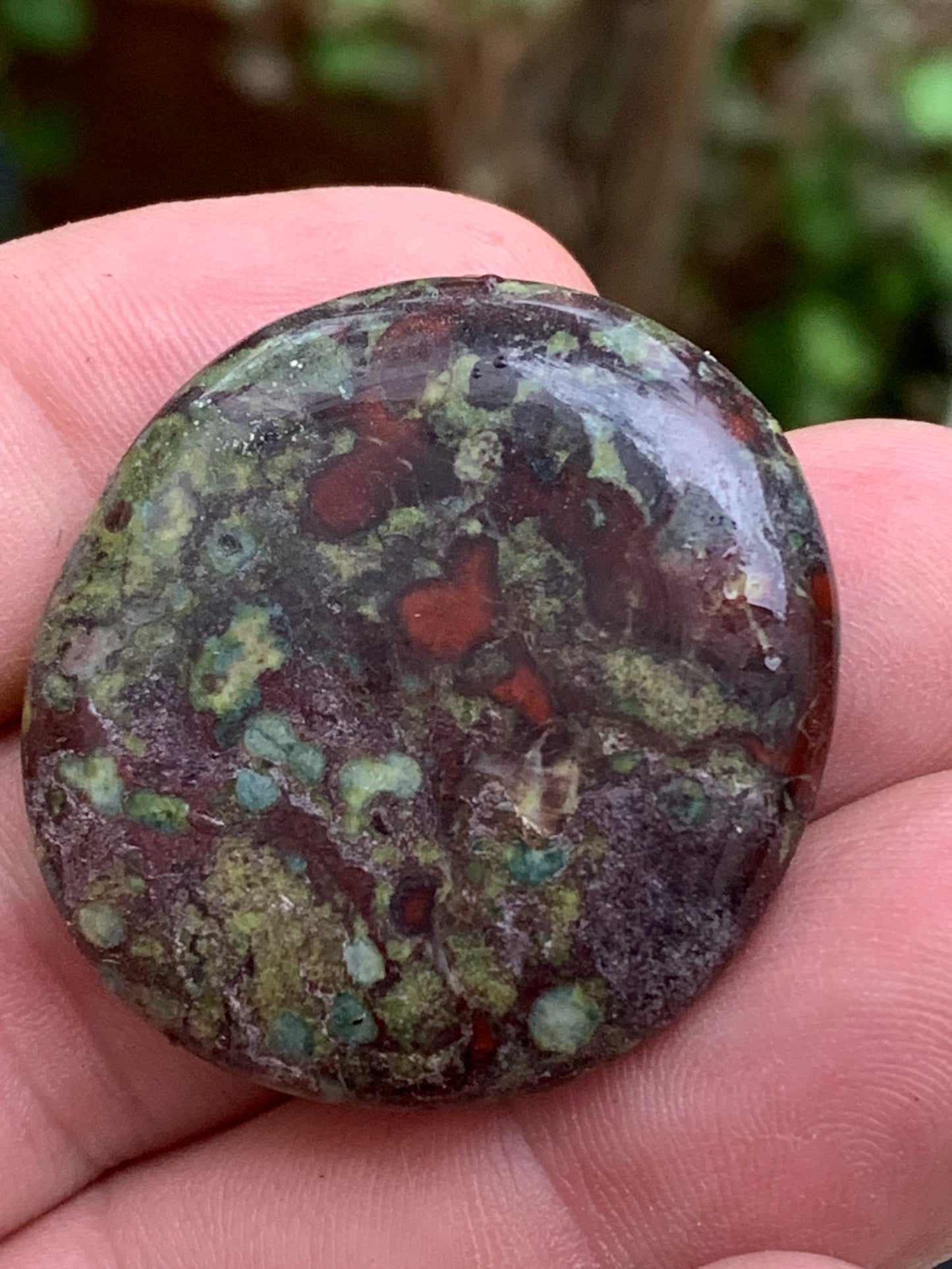 Jaspe Sang de Dragon – Galets polis naturels - 2 modèles au choix !