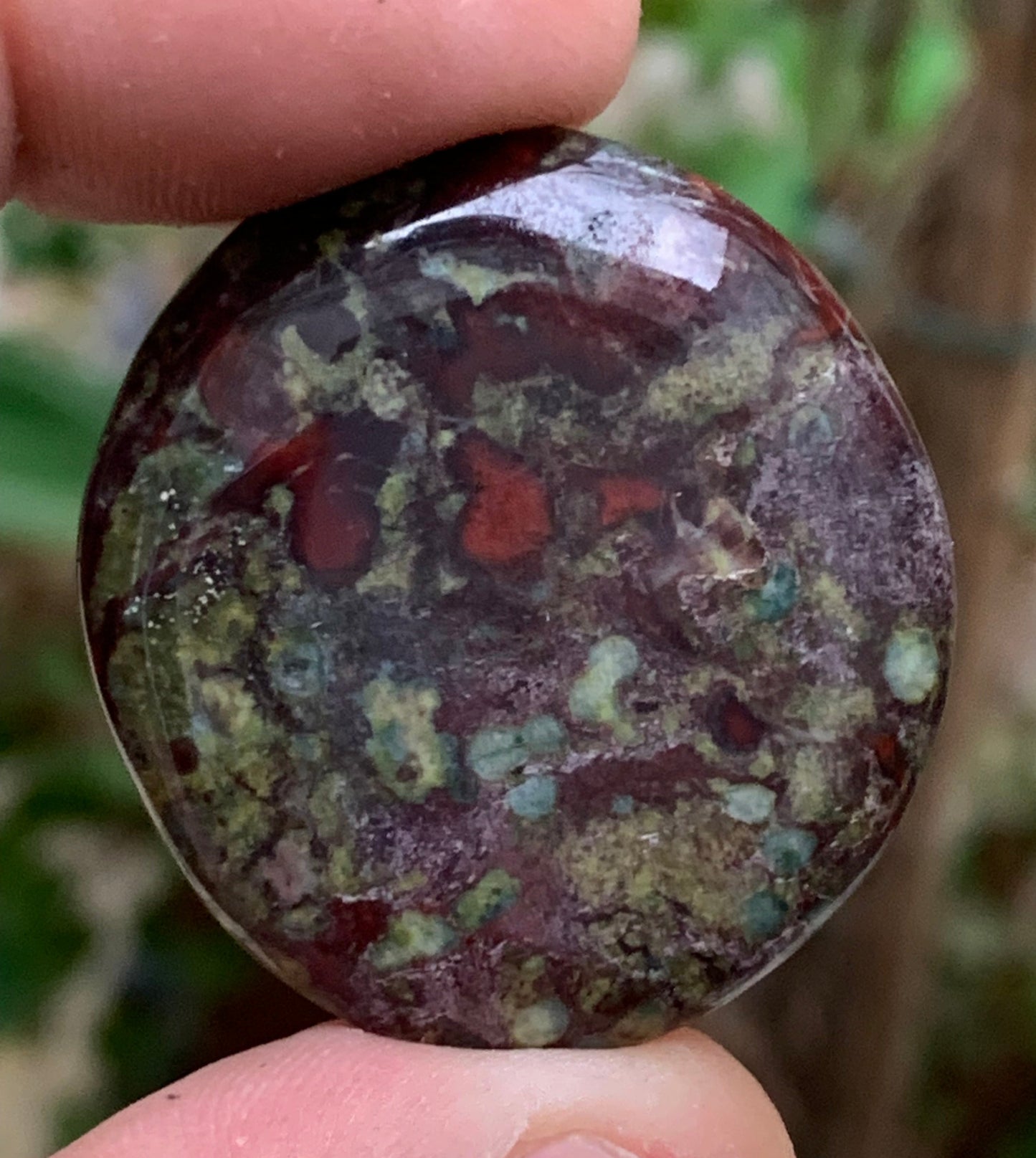 Jaspe Sang de Dragon – Galets polis naturels - 2 modèles au choix !