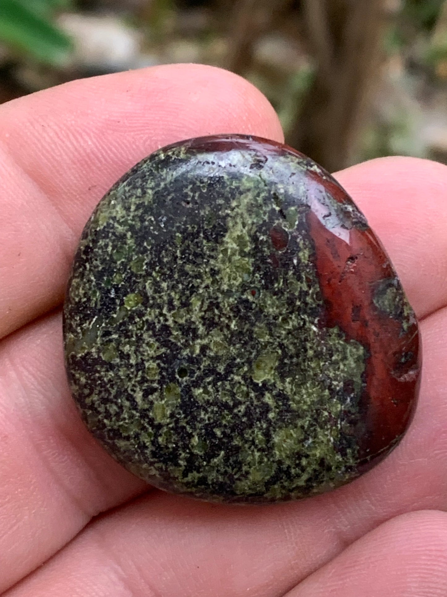 Jaspe Sang de Dragon – Galets polis naturels - 2 modèles au choix !