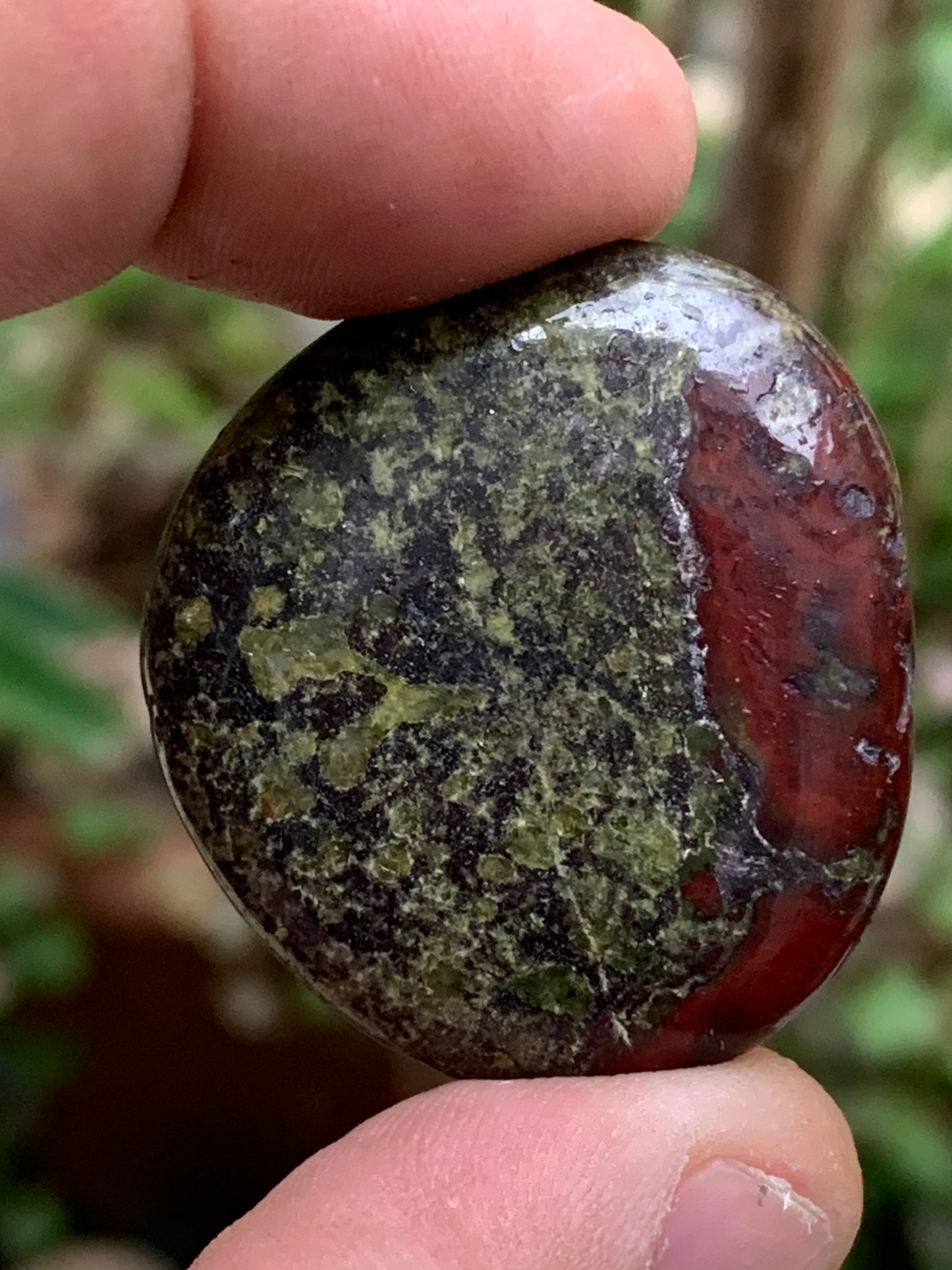 Jaspe Sang de Dragon – Galets polis naturels - 2 modèles au choix !