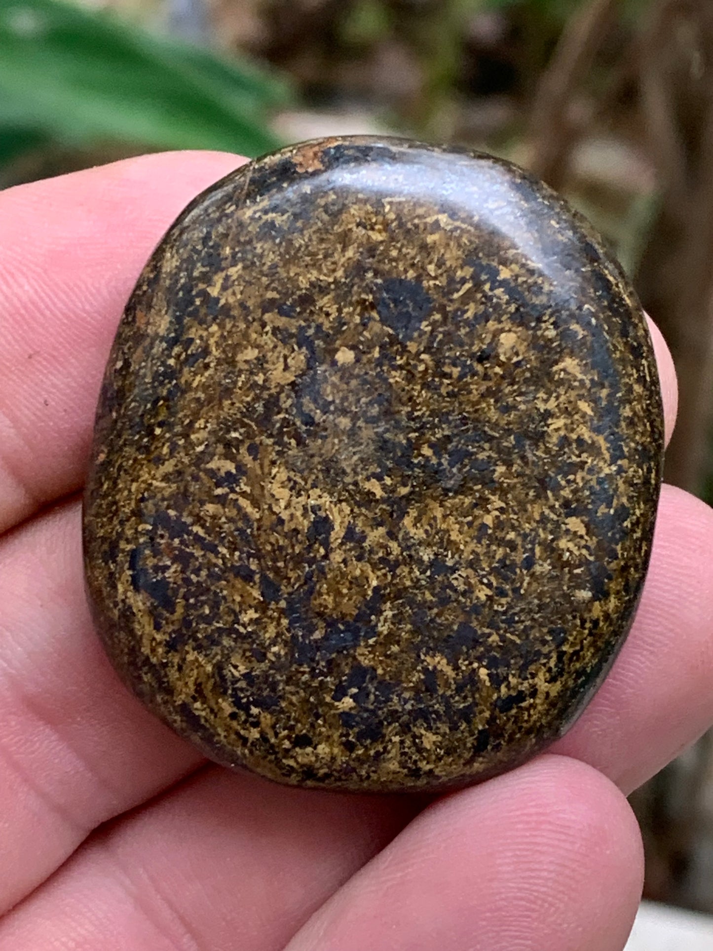 Bronzite, galet/ pierre plate de 40 x 30 x 10mm - 20 gr. Superbe petit galet !