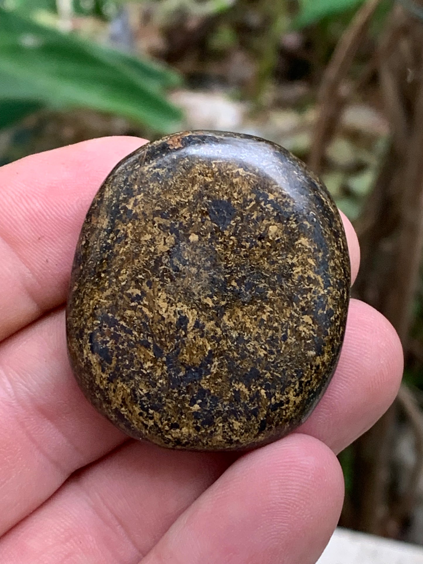 Bronzite, galet/ pierre plate de 40 x 30 x 10mm - 20 gr. Superbe petit galet !