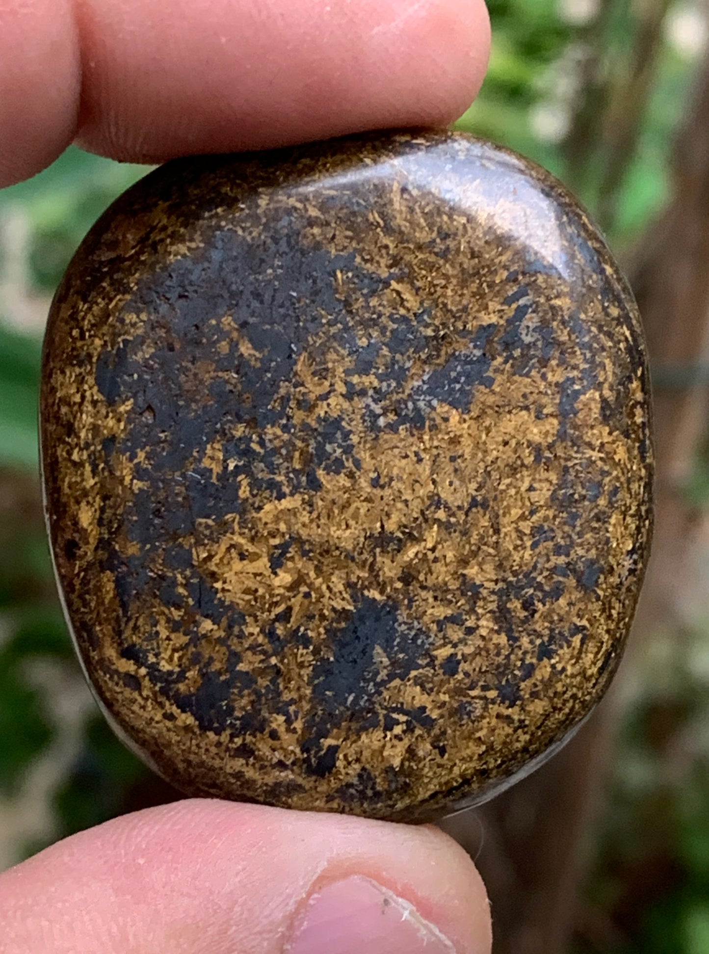 Bronzite, galet/ pierre plate de 40 x 30 x 10mm - 20 gr. Superbe petit galet !