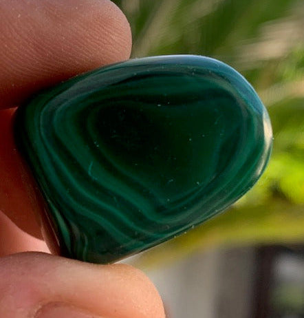 Malachite, tumbled stone of 30 mm x 22 x 21 - 38 gr.