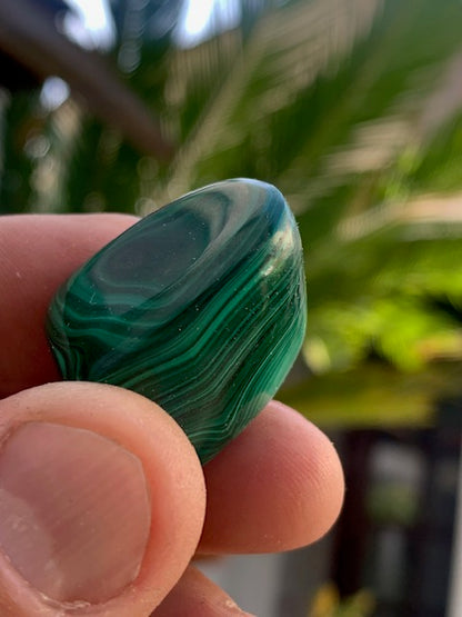 Malachite, tumbled stone of 30 mm x 22 x 21 - 38 gr.
