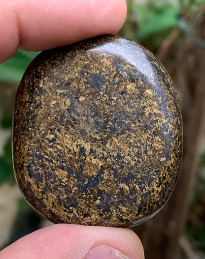 Bronzite, galet/ pierre plate de 40 x 30 x 10mm - 20 gr. Superbe petit galet !