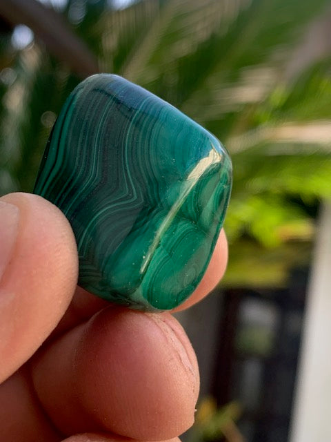 Malachite, tumbled stone of 30 mm x 22 x 21 - 38 gr.