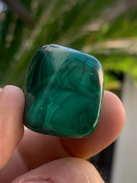 Malachite, tumbled stone of 30 mm x 22 x 21 - 38 gr.