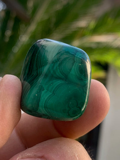 Malachite, tumbled stone of 30 mm x 22 x 21 - 38 gr.